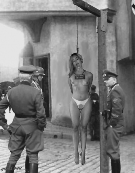 PartisanExecution-01