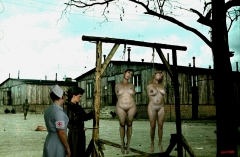 WWII-Execution-02a