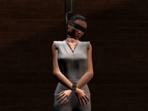 Jayseal 28