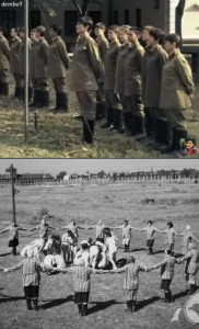 wqasdf193.jpg