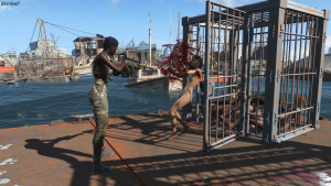 follaut_077m.jpg