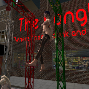 Snapshot con_343.jpg