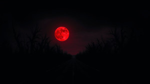 highway-to-hell-under-blood-moon  - 0.jpg