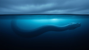 Sea Serpent - 1.jpg