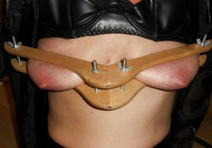 Breast press 1.jpeg