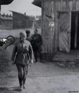 wntaer003.jpg