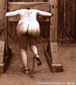 Цепи и колодка.jpg