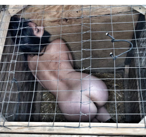 Голая в клетке - 2.jpg