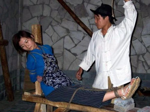 Тигровая скамья в Китае.jpg