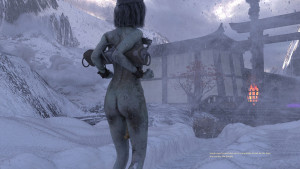 В снегу в горах.jpg