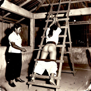 Порка в  азиатском сарае.jpg