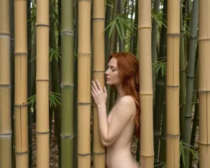 bamboo.webp