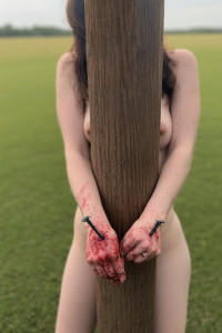 nailed to the pole.jpg