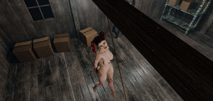 Висит над  досками.jpg