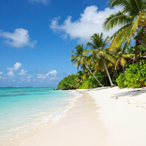 Beautiful paradise in tropical island.jpg