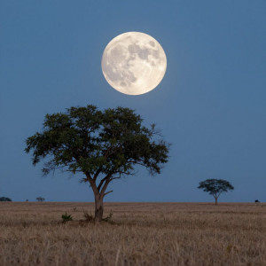 Whispering land under full round moon - Z.jpg