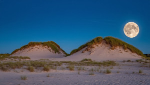Остров двух кривых дюн под полной луной.jpg