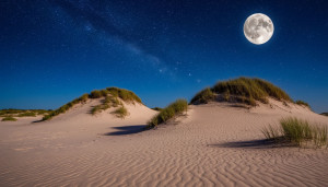 Остров двух кривых дюн под полной луной и звёздным небом.jpg