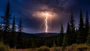 Superbolt at night over Oregon forest - S1.jpg