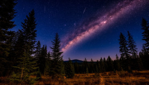 Meteor air burst at night over Oregon forest - S1.jpg