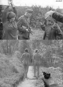 wdt554.jpg