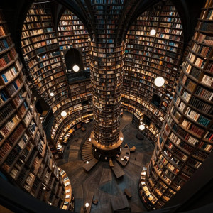 An aerial view of a fantastical, otherworldly library where bookshelves curve and spiral upwards.jpg