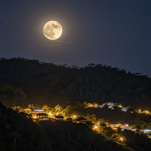 City of gold in Central American jungle under full round moon - R4.jpg