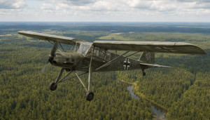 Fi-156 aircraft over Lithuanian forest - GPT.jpg