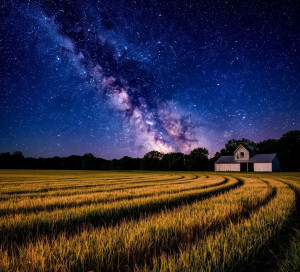 Field of Dreams under starry night - S.jpg