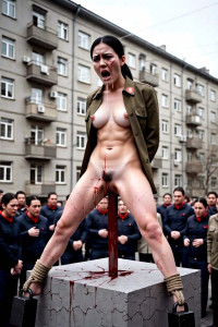 Китаянка - кол 2.JPG