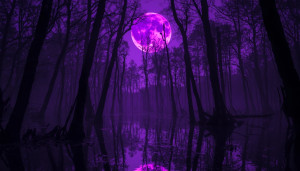 Menacing presence in the Louisiana swamp - L.jpg