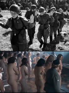 wboilm695.jpg