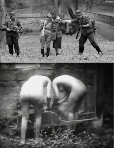 wboilm698.jpg