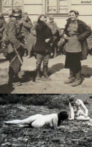 zfmopd106.jpg