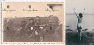 zfmopd100.jpg
